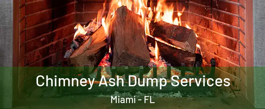  Chimney Ash Dump Services Miami - FL