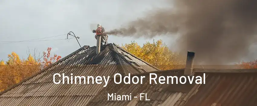  Chimney Odor Removal Miami - FL
