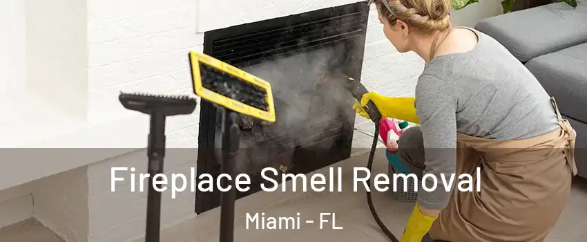  Fireplace Smell Removal Miami - FL