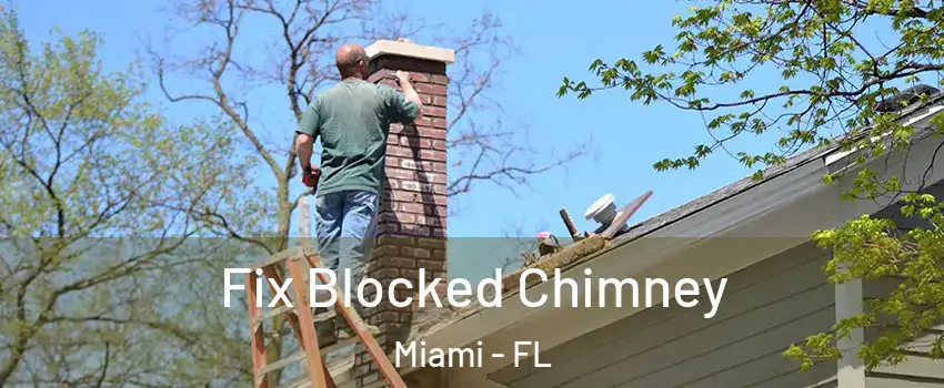  Fix Blocked Chimney Miami - FL