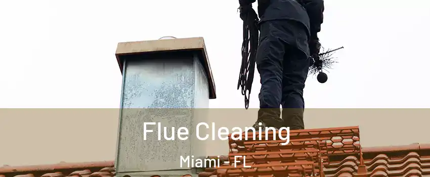  Flue Cleaning Miami - FL