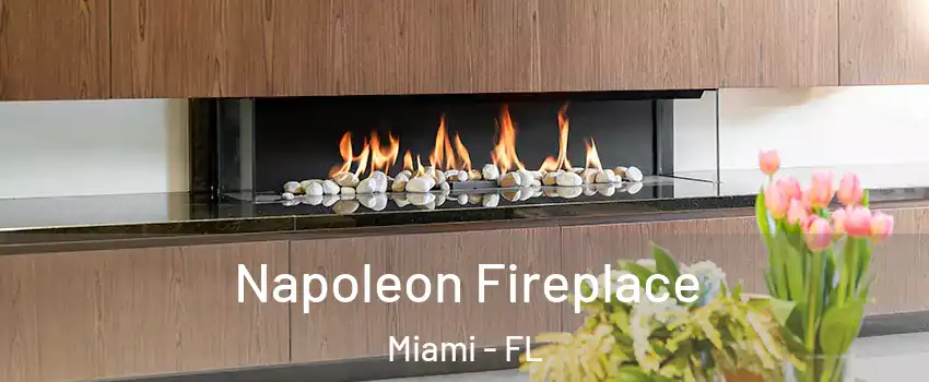  Napoleon Fireplace Miami - FL